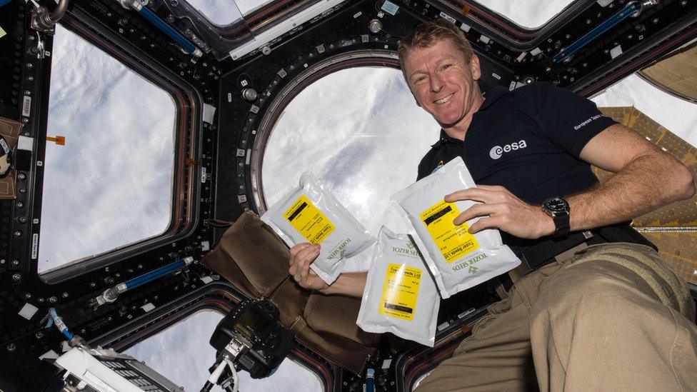 Tim Peake holding seeds