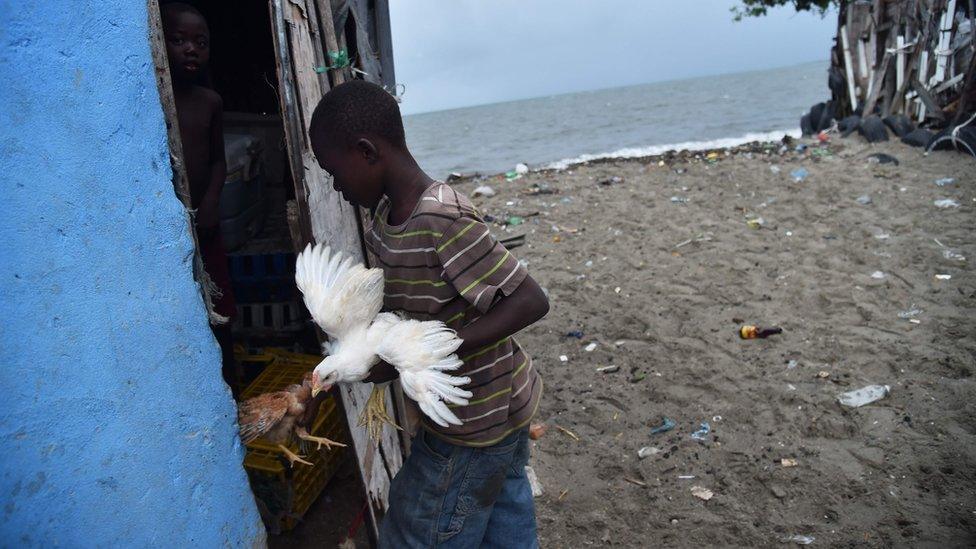 Boy carrying chickens