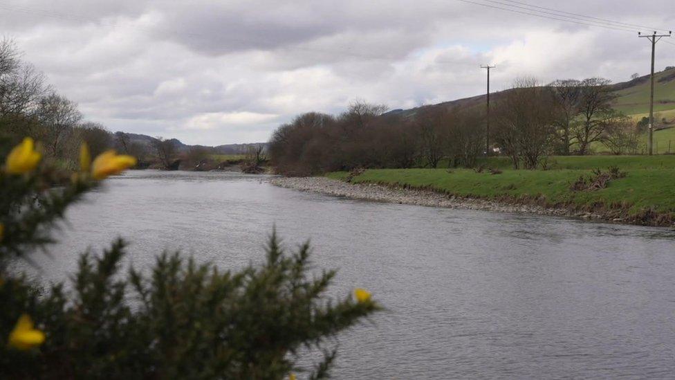 Afon Dyfi