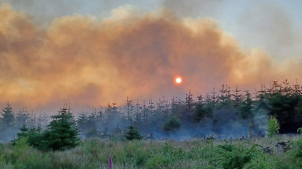 Fire at Glenariff