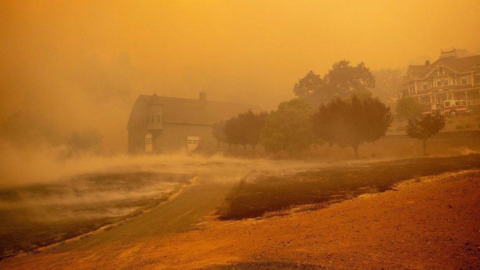 Smoke is seen rising from the ground in Lakeport, California