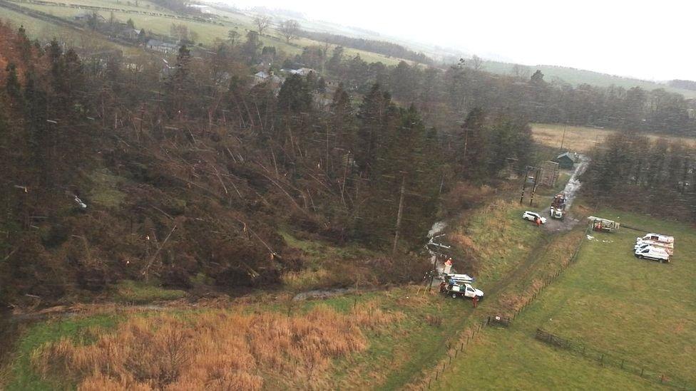 View from helicopter of dozens of trees blown over