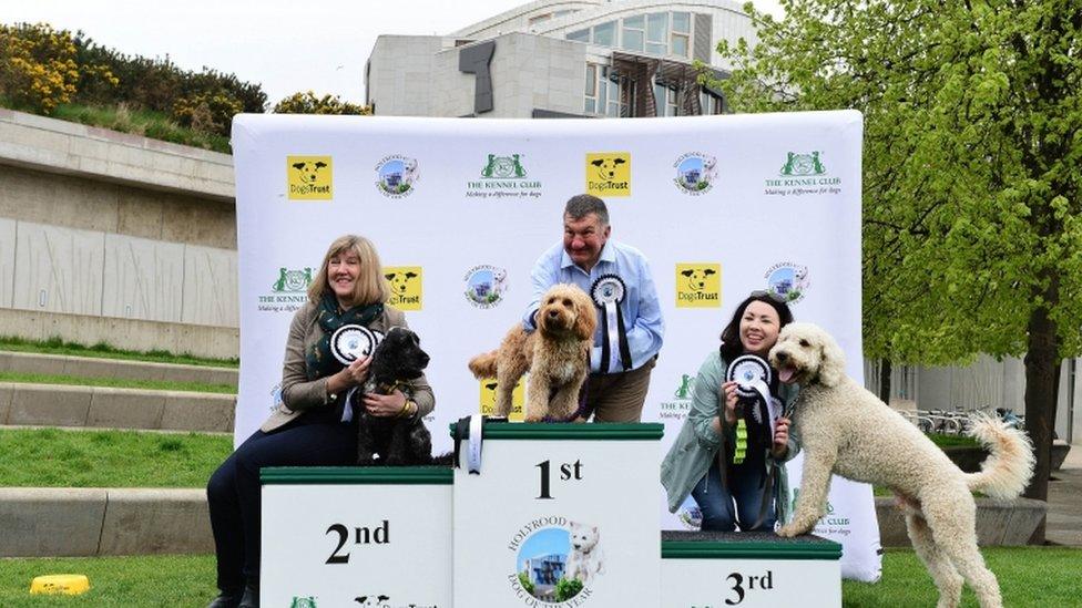 winners podium