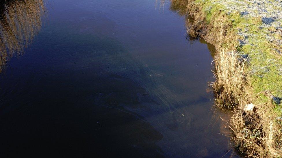 The Afon Cefni river