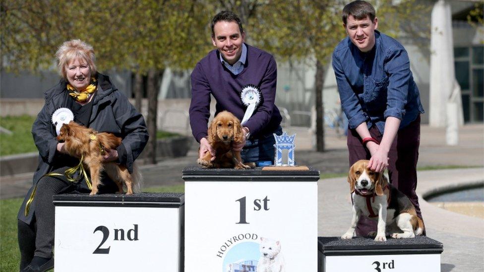 Dog of the Year winners