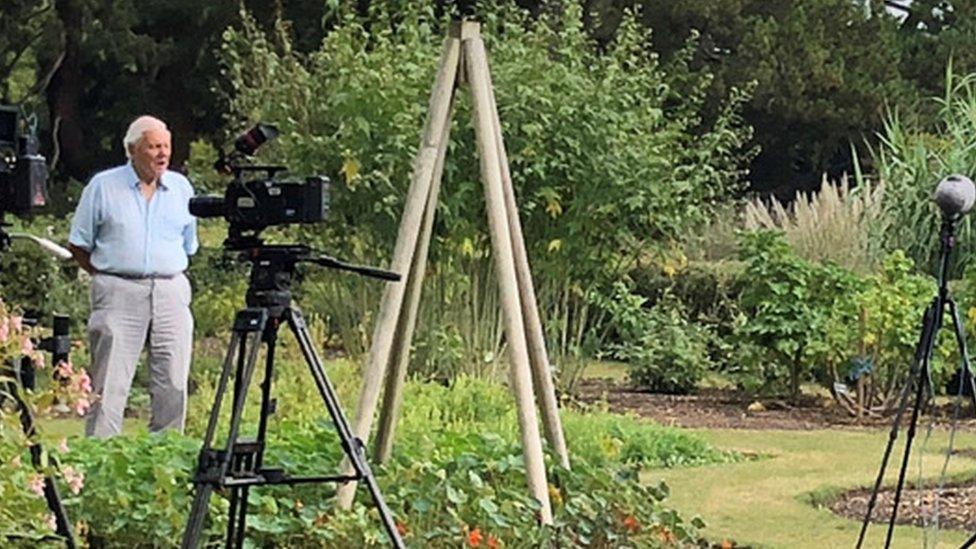 Sir David Attenborough at Cambridge University Botanic Garden