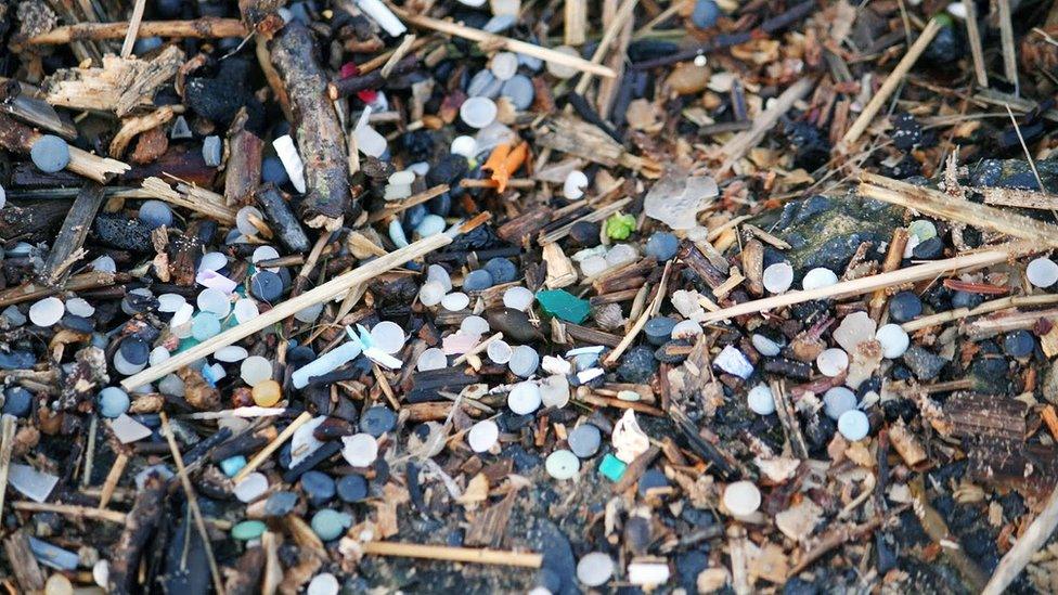 Nurdles on a beach