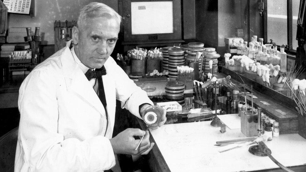 Alexander Fleming in his laboratory