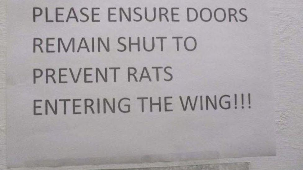 Rats sign