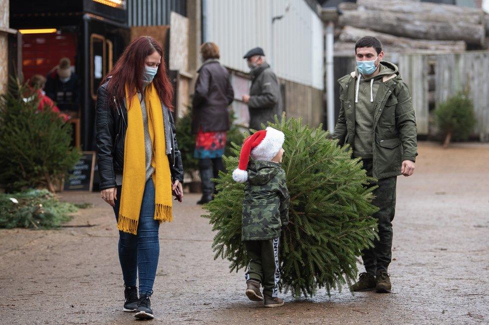 A family collecting a Christmas tree in Rutland