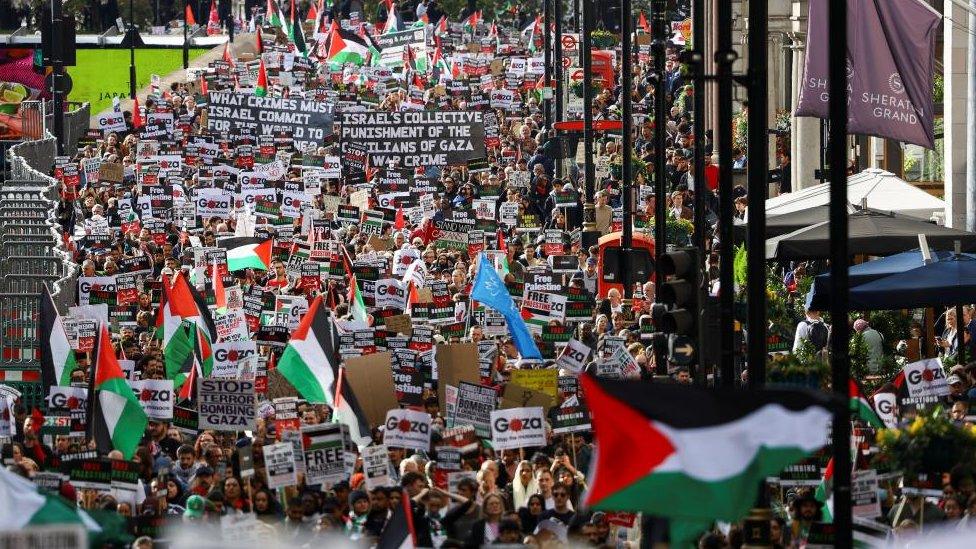 A pro-Palestinian protest in London