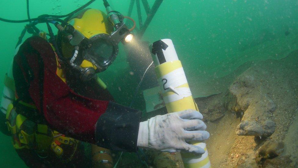 Diver excavating the Rooswijk