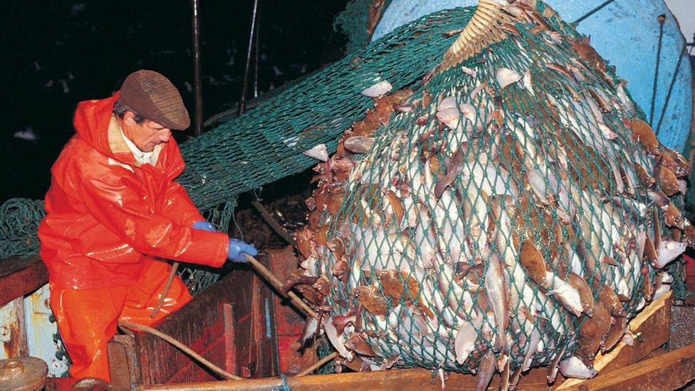 Fishing in the North Sea