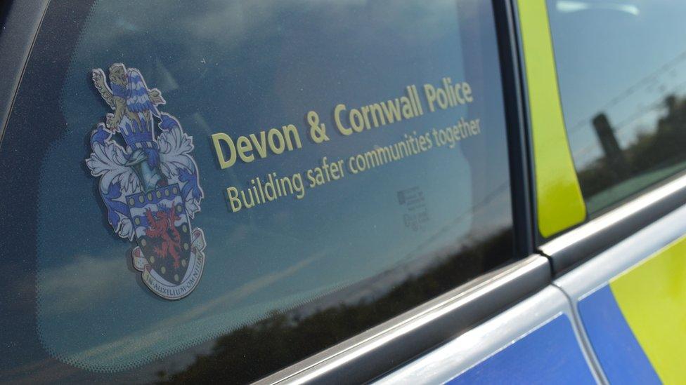 Devon & Cornwall Police window on car