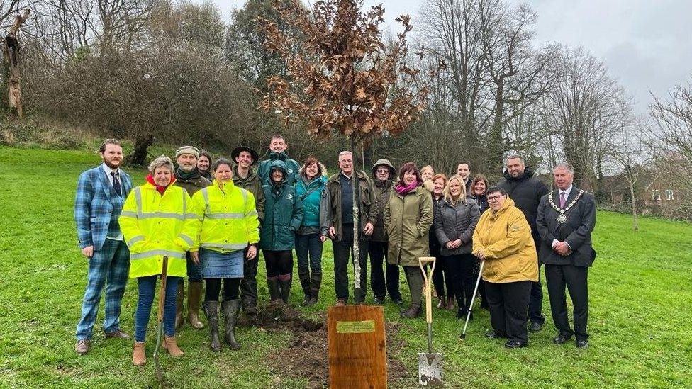 a group of people with spades around a newly planted tree and plaque