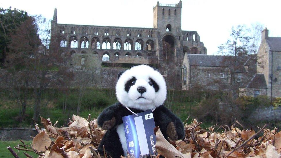 Jedburgh Abbey