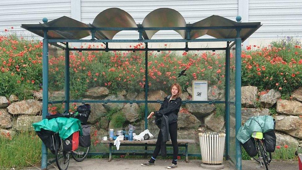 Cat next to her bicycle