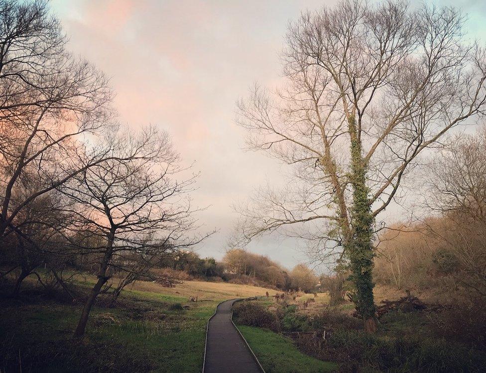 Lye Valley Nature Reserve