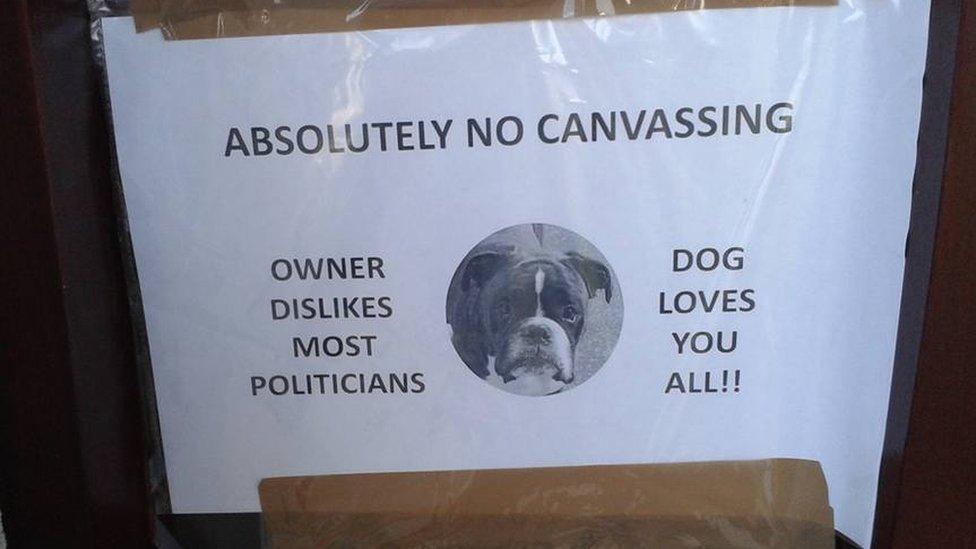 A sign that reads: Absolutely no canvassing - owner dislikes most politicians, dog loves you all