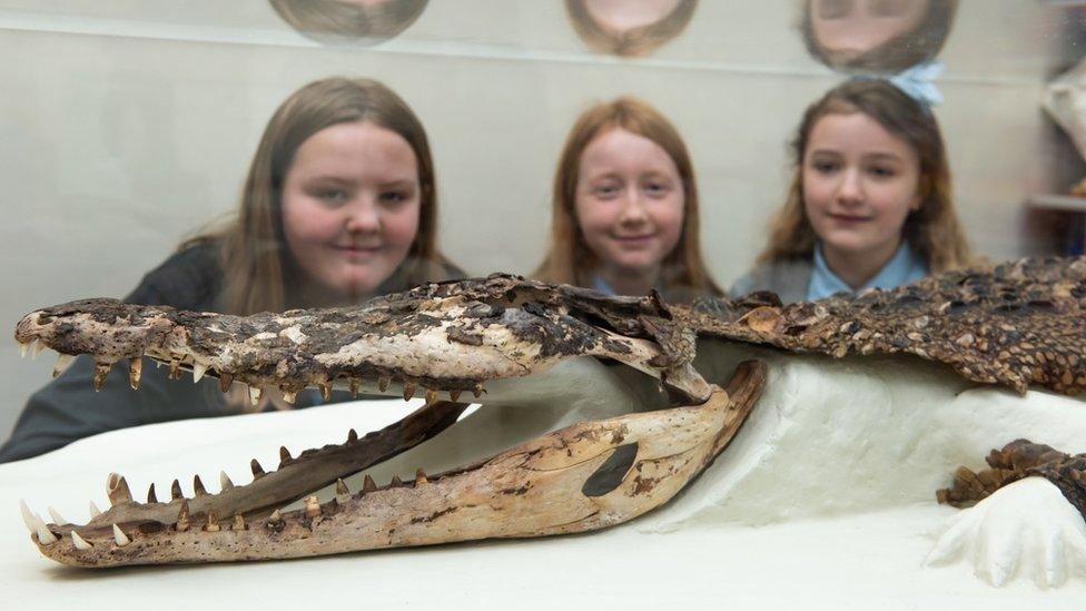 children looking a crocodile remains