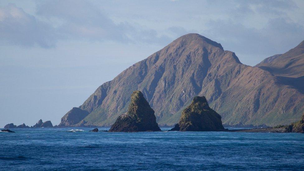 Macquarie island