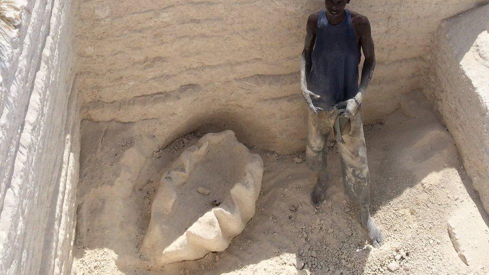 Fossilised clam shell found in Kenya