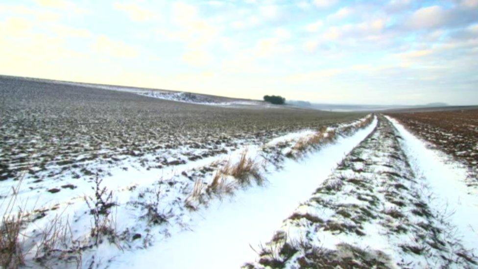 Image from Fields of Battle, Lands of Peace exhibition