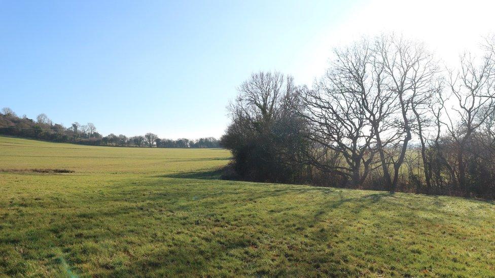 Woodland in waiting showing the field where the woods will be planted