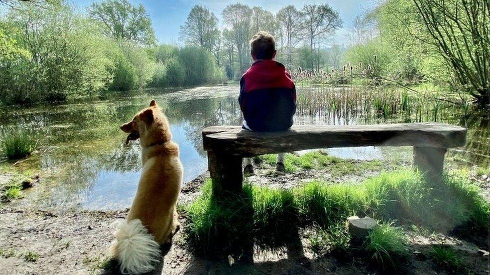 A boy sat on a bench with a dog by his side looking over at a lake