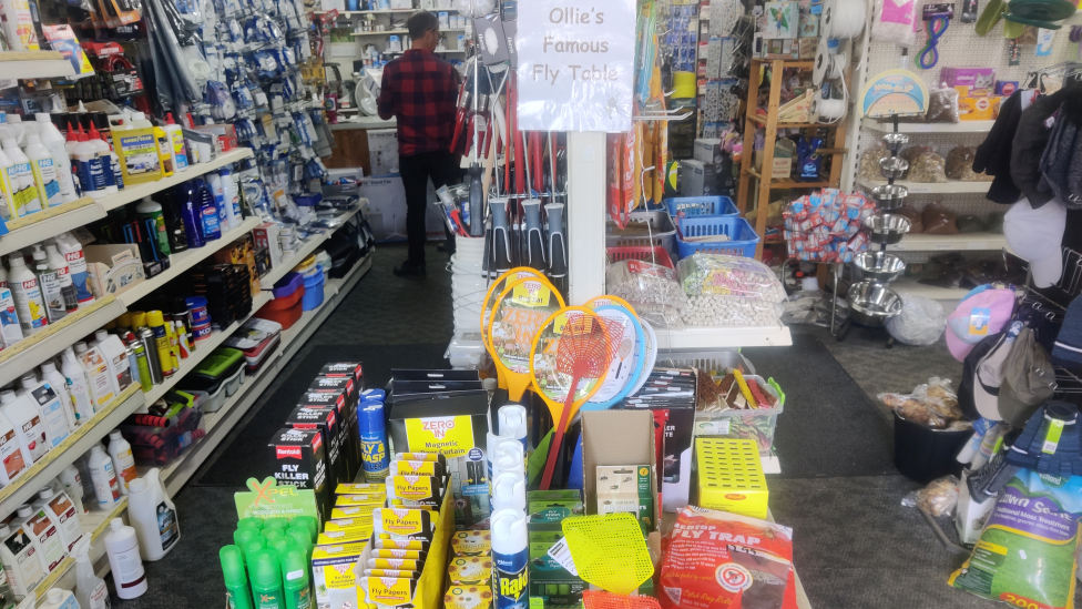 A shop has a table selling a selection of products to combat flies.