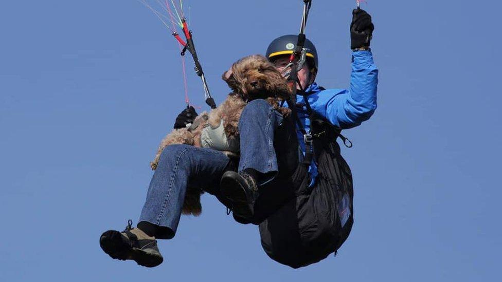 Henry the cockapoo paragliding