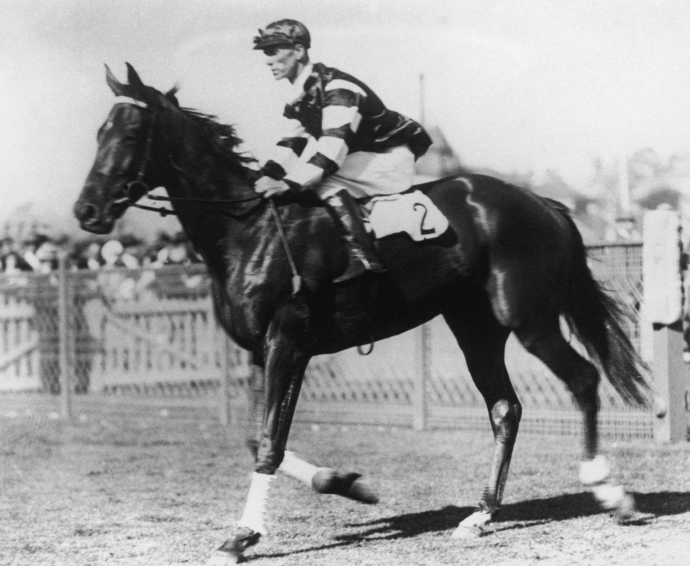 Australia's most famous horse Phar Lap, a year before winning the Melbourne Cup in 1930