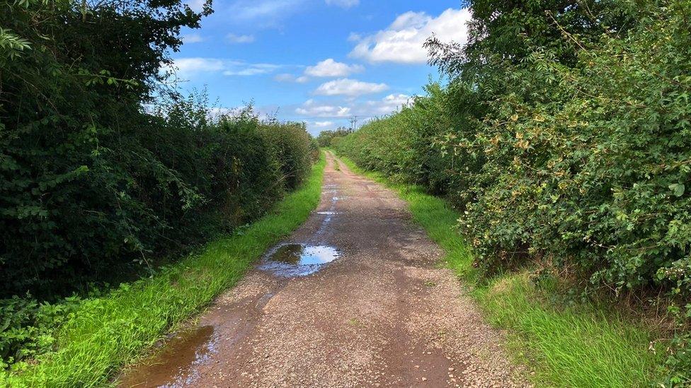 A farm track running through fields, bordered by a hedge