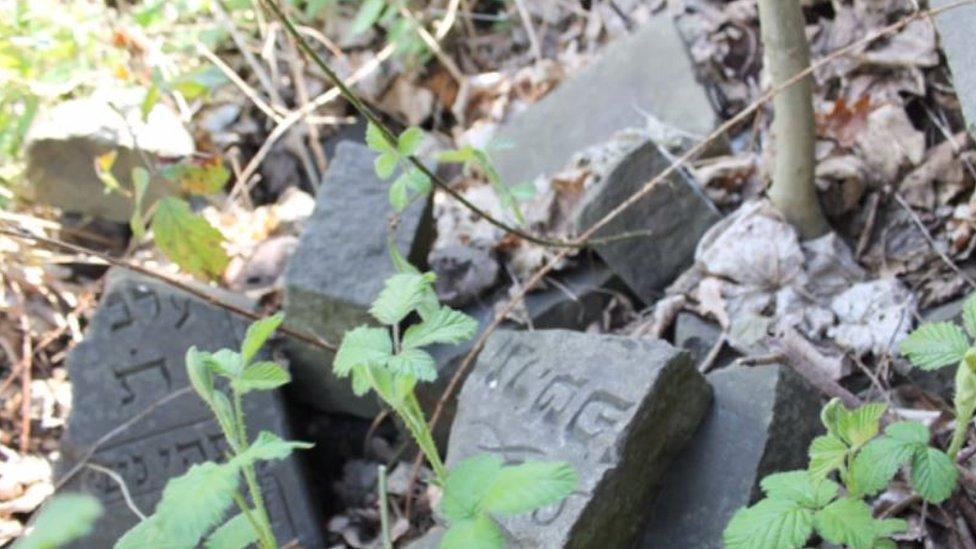 The abandoned Jewish cemetery