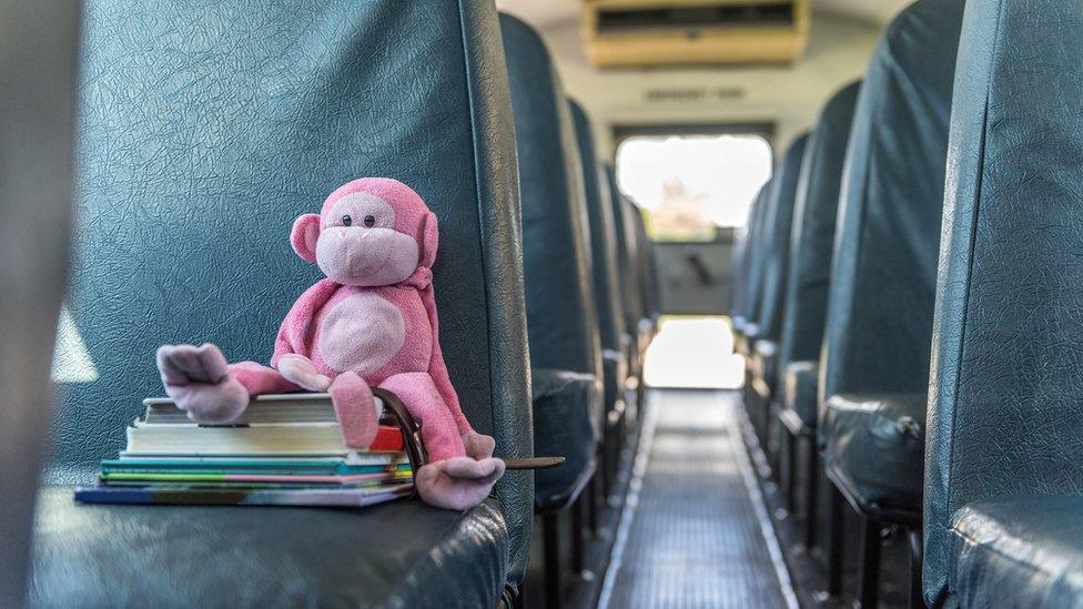 Toy monkey and books on a bus