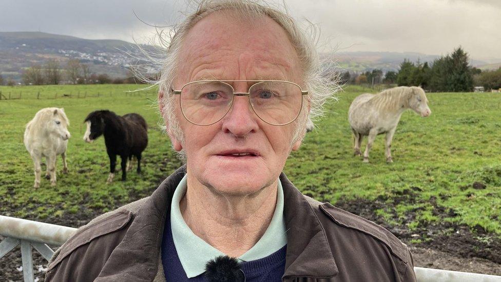 Roy Thomas standing in from a gate with ponies in the field behind him