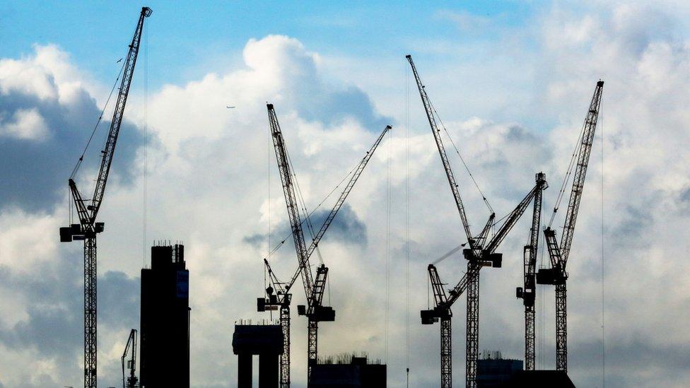 Cranes in silhouette