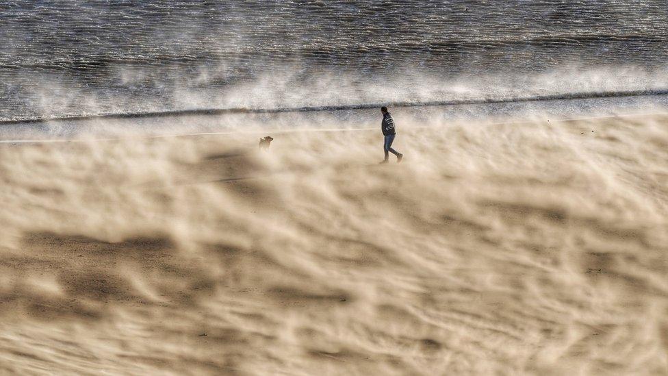 Man and dog walking in sand storm on Tynemouth beach