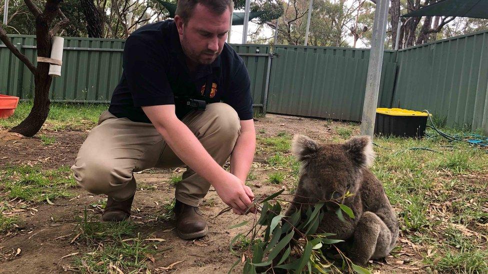 Australia fires