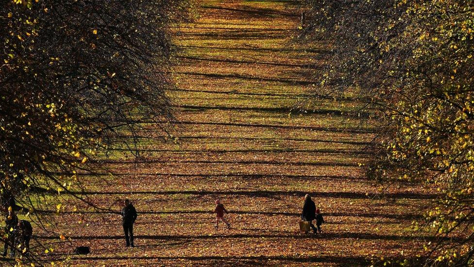 People walk among the autumn leaves in the Stormont Estate on 28 October 2022