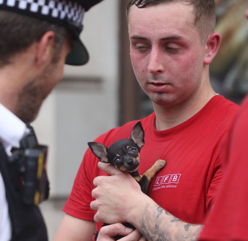 Firefighter holding small dog