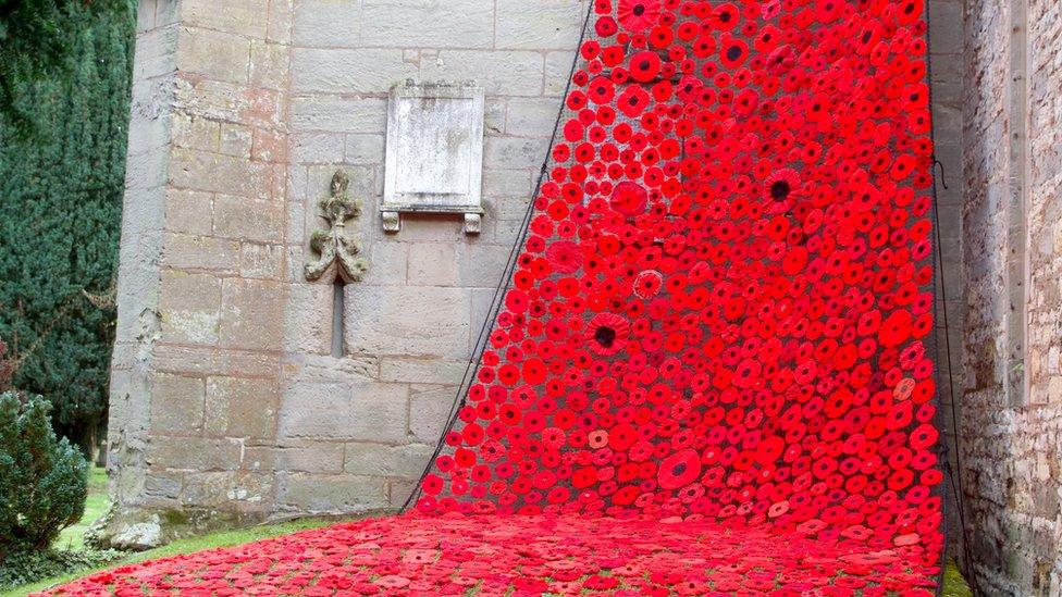 Wellesbourne poppies