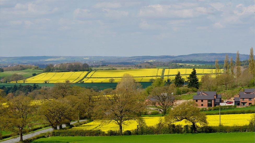 Fields in Shropshire in April