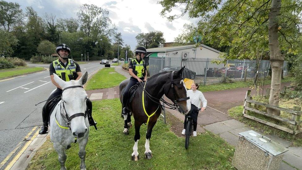 Police horses Harper and Atlas