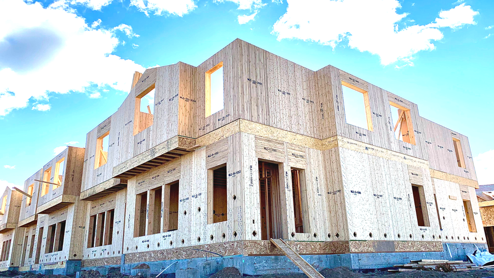 A bamcore house using bamboo for the frame