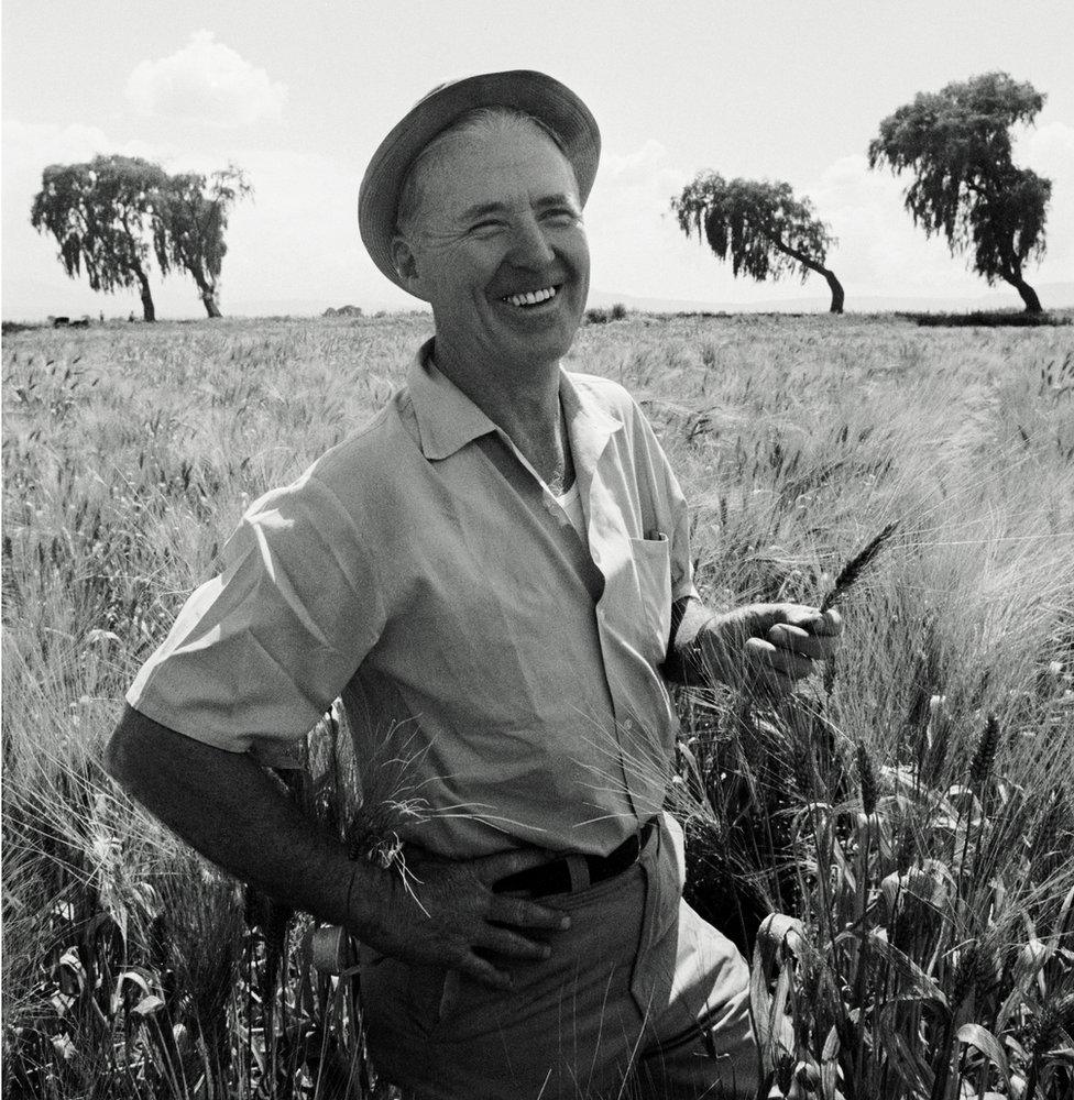 Norman Borlaug pictured in a wheat field in Toluca, Mexico