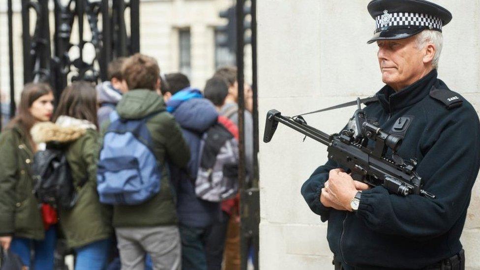 A Met Police firearms officer in Westminster