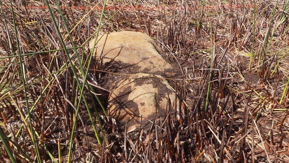 An uncovered Easter Island statue