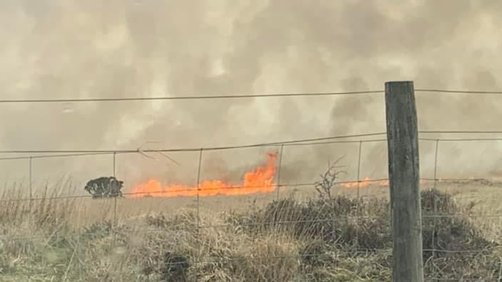 Fire on Dartmoor open ground