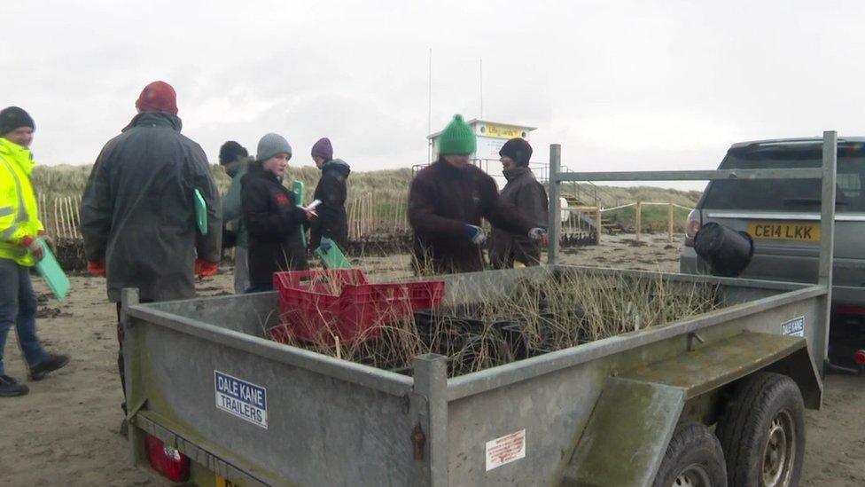 Volunteers at Tyrella beach